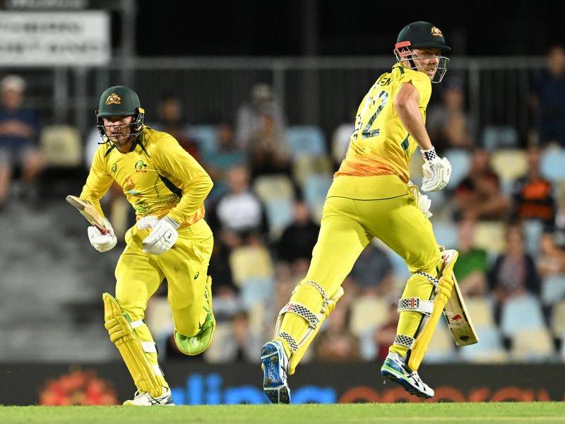 Australia won by 3 wickets: Cameron Green and Alex Carey the star of the 1st ODI against New Zealand