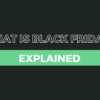 What is Black Friday? the history behind the name and the global shopping culture