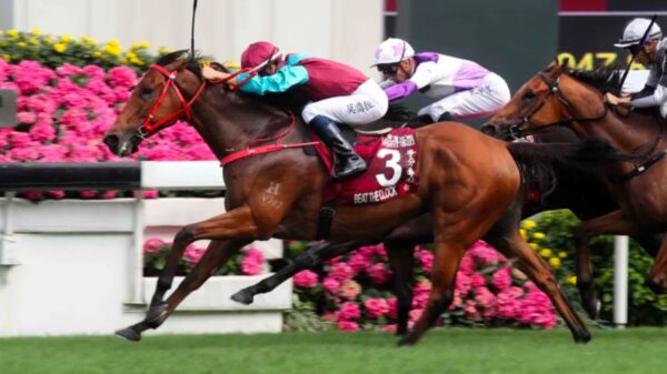 Singapore To Bid Farewell To 180 Years Of Horse Racing