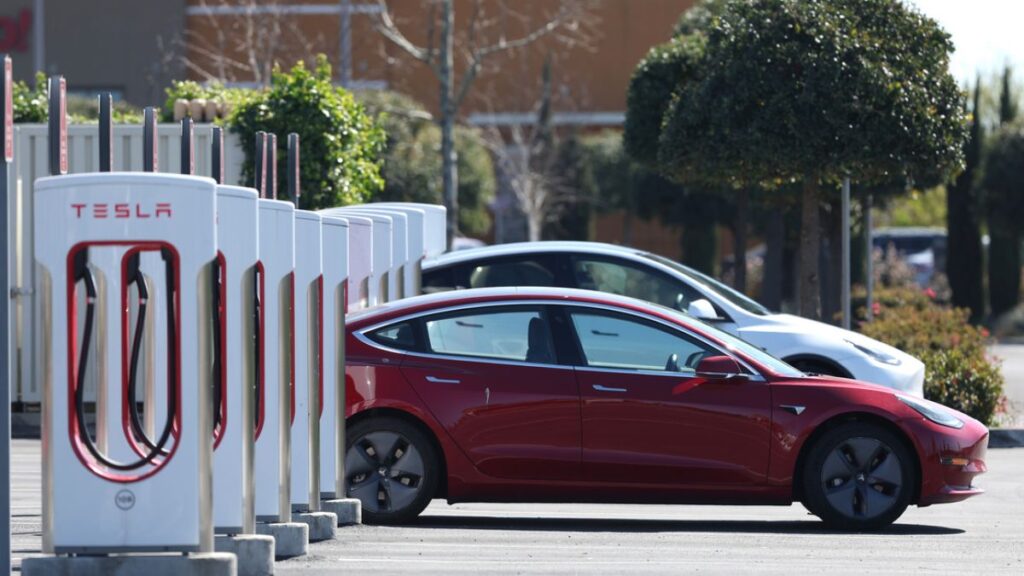 Tesla Eyes India Bridging the Gap for Electric Mobility